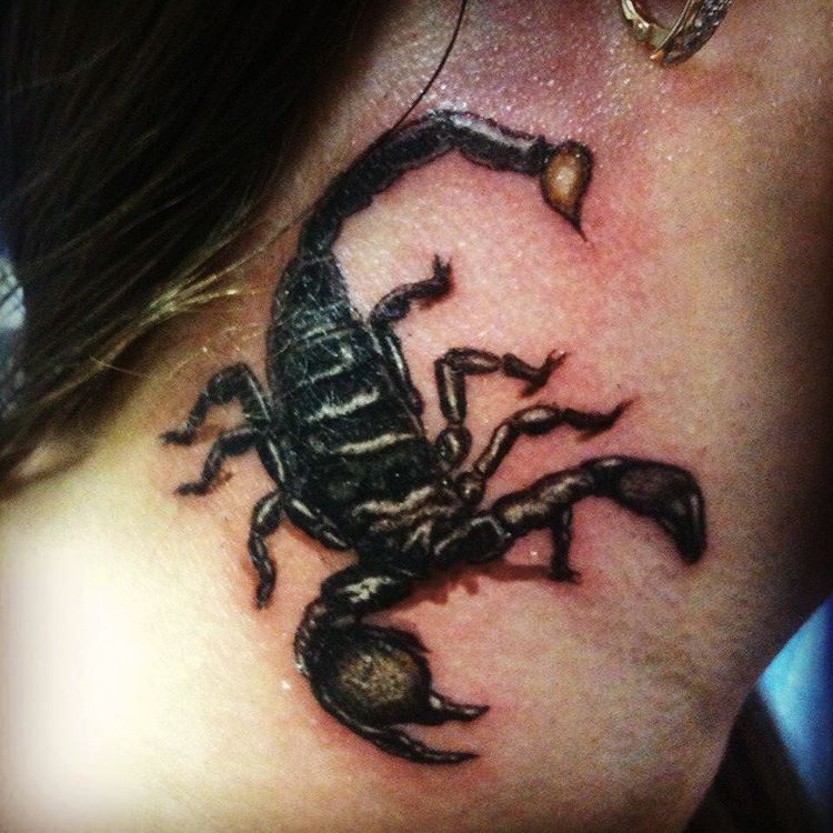 Фото скорпиона на аватарку для женщины с надписью
